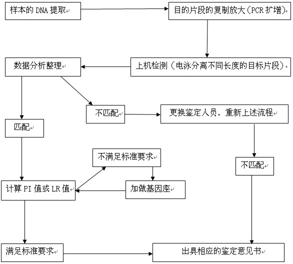 防城港鉴定流程